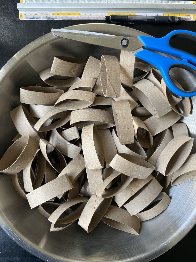 All the pieces of cut cardboard