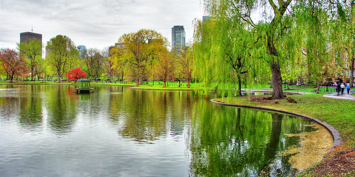 Boston Public Gardens by Rick Harris, Flickr