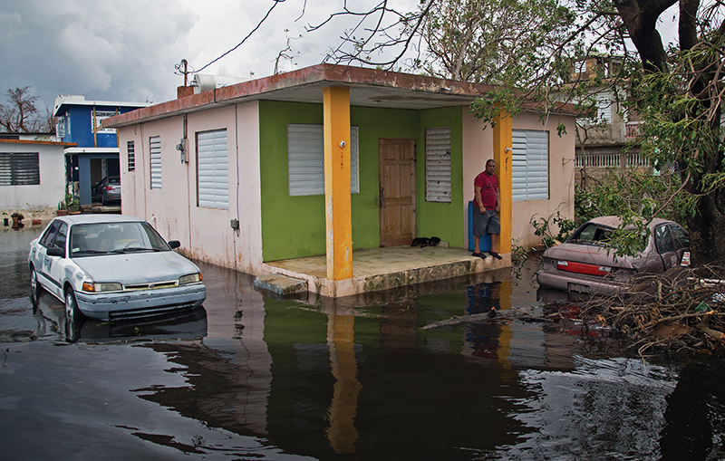 Tons of fallen trees are being repurposed for the arts and culture community in Puerto Rico. Photo by William Gould/U.S. Forest Service.