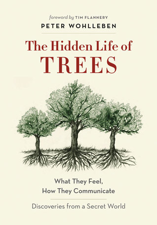 Hidden Life of Trees