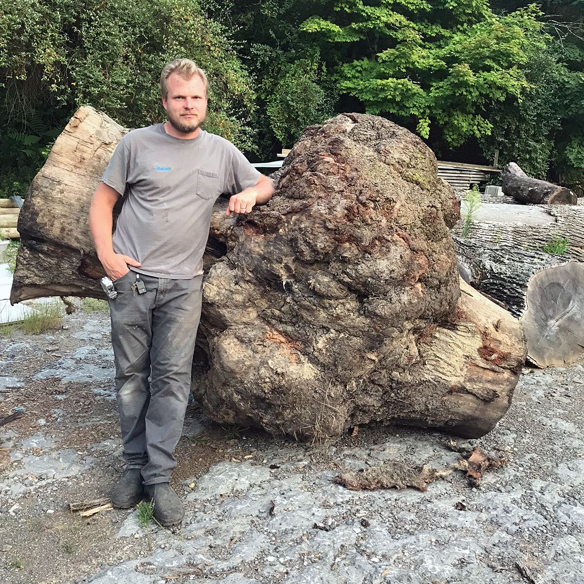 Timm leaning on a giant red oak burl to mill into table tops