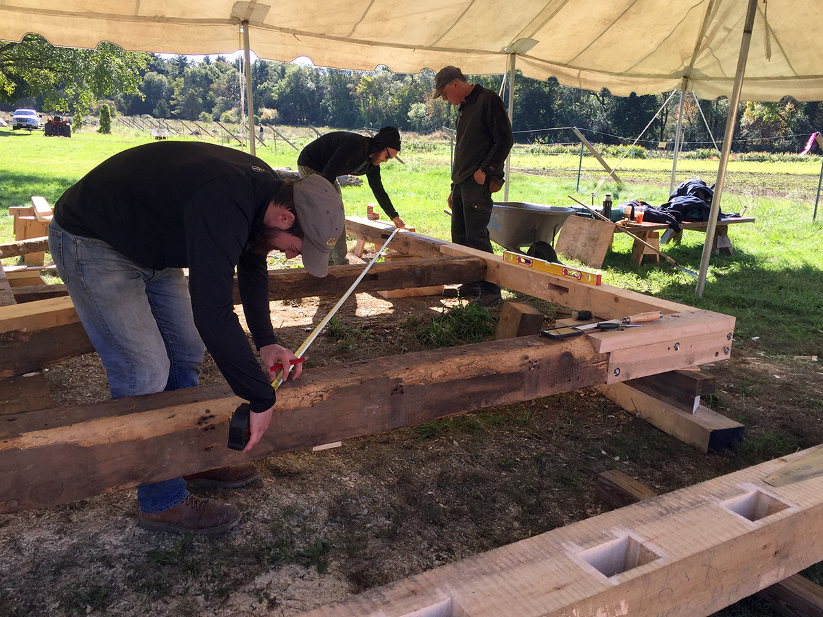 Students at work on the timber frame structure 