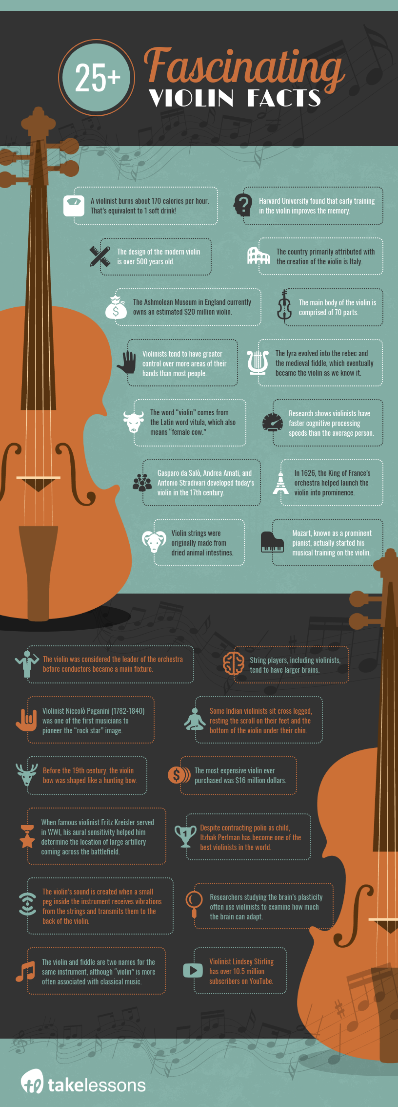25+ Fascinating violin facts