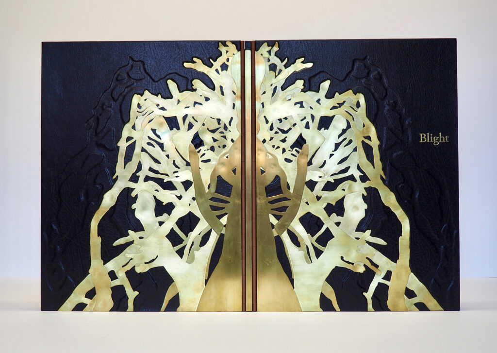 Artist book, "Blight, bound by Gabby Cooksey BB ’14