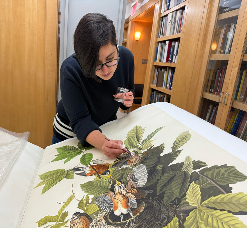Natalie Naor conserving a book